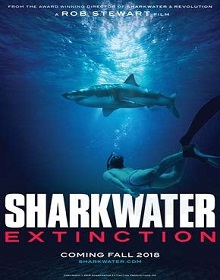 Extinção dos Tubarões – Documentário (2019) Torrent Legendado