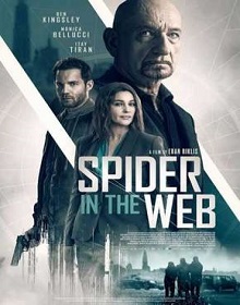 Spider in the Web – Filme (2019) Torrent Dublado