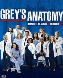 Greys Anatomy – 1ª a 15ª Temporada Dublado