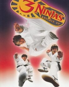 Baixar 3 Ninjas em Apuros Dublado Torrent