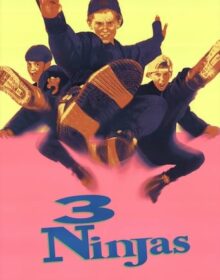 Baixar 3 Ninjas Dublado Torrent