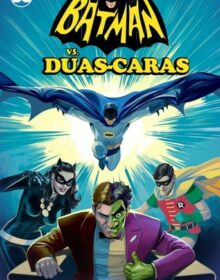 Baixar Batman vs. Duas-Caras Dual Áudio Torrent